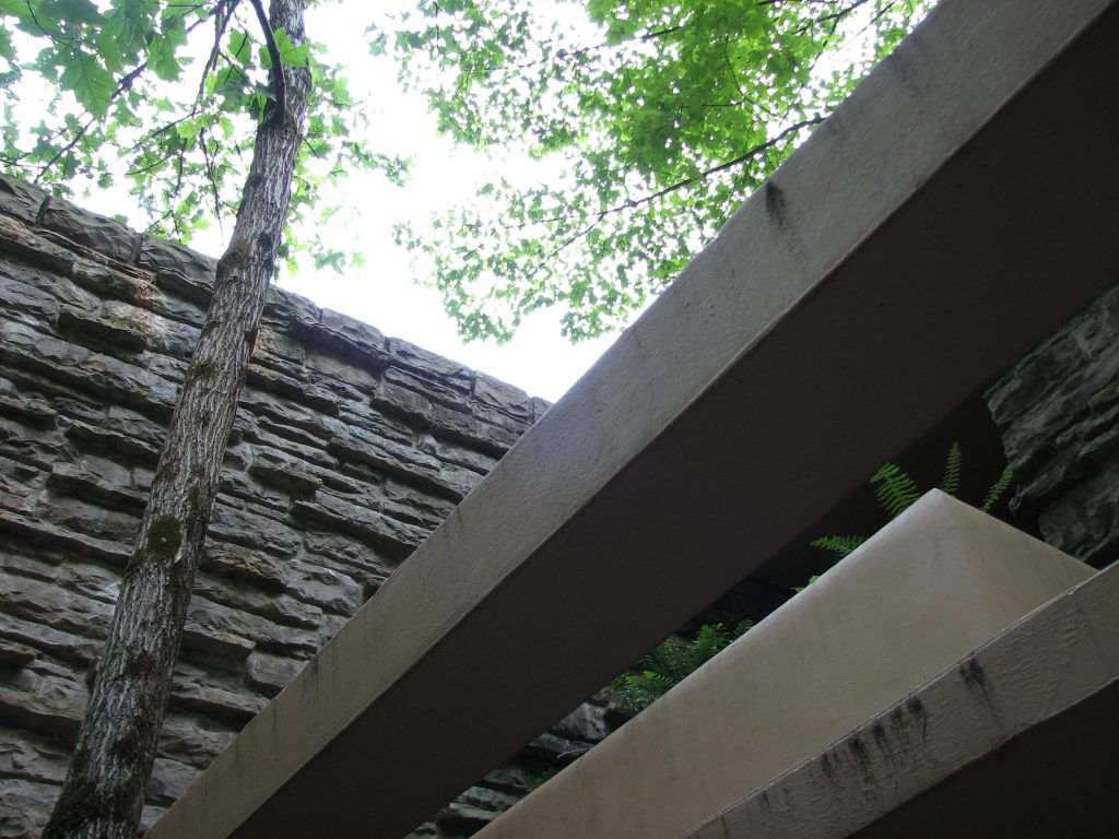 Fallingwater – Frank Lloyd Wright_10
