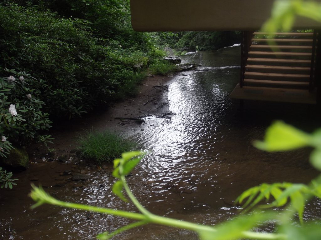 Fallingwater – Frank Lloyd Wright_65