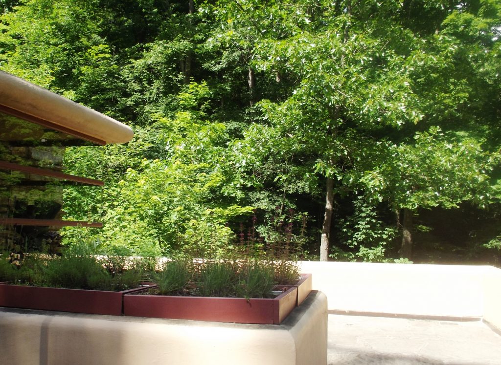 Fallingwater – Frank Lloyd Wright_68