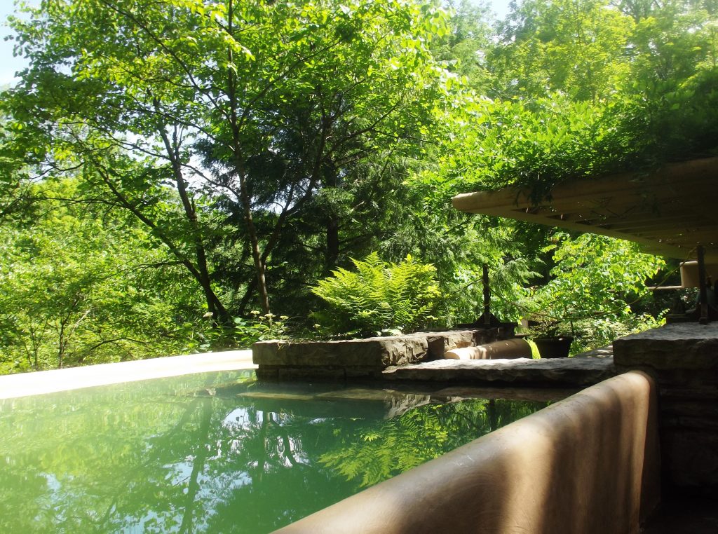 Fallingwater – Frank Lloyd Wright_71