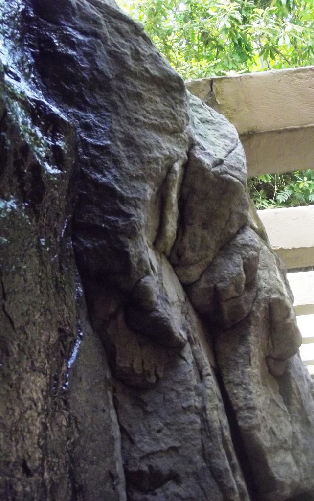 Fallingwater – Frank Lloyd Wright_74