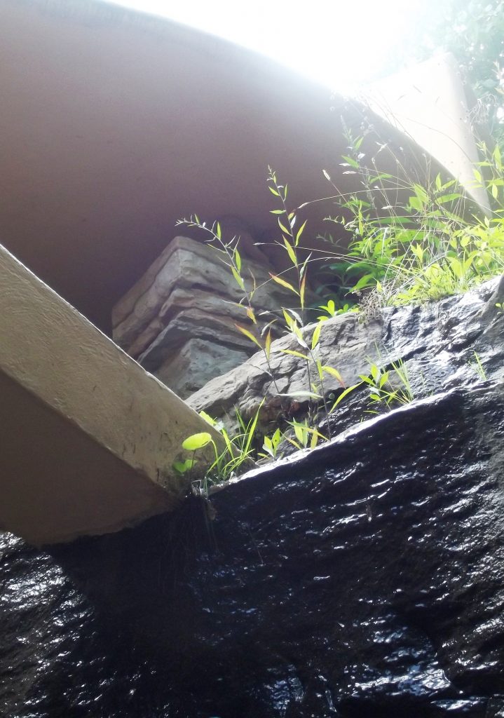 Fallingwater – Frank Lloyd Wright_75