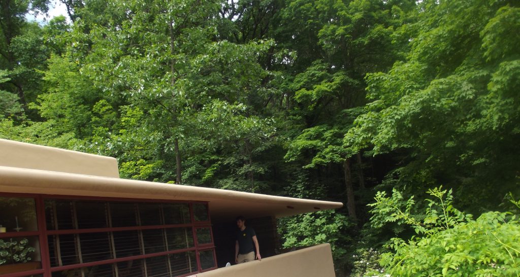 Fallingwater – Frank Lloyd Wright_82