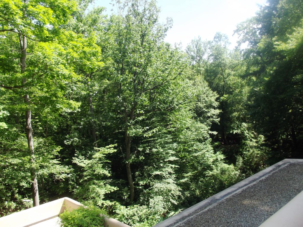 Fallingwater – Frank Lloyd Wright_83