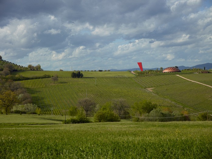 Bodega Castelbuono 2