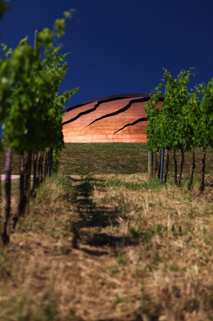 tenuta-castelbuono 3